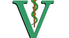 Timeline: Medicina Veterinaria