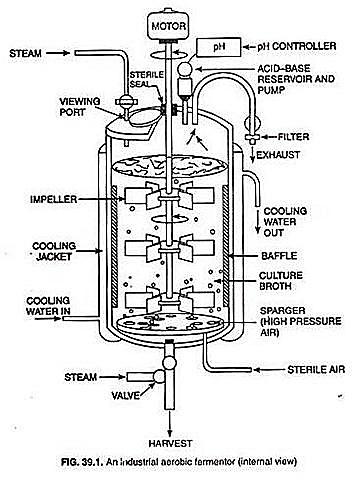 Fermentadores aeróbicos