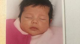 Timeline: Memoria histórica