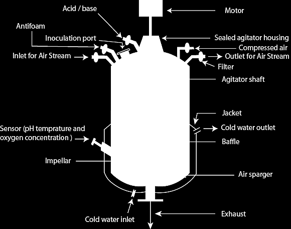 Primer Fermentador Piloto
