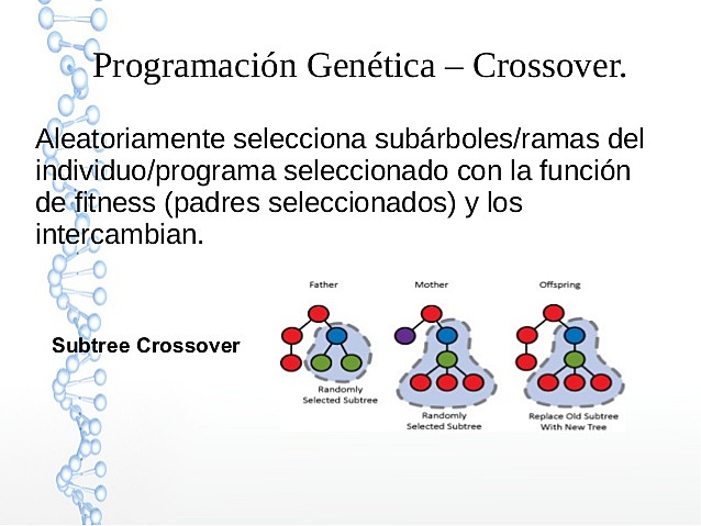 John Koza adaptó los AG para la creación de programas de computador