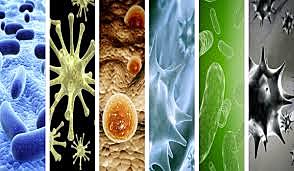 modelo epidemiológico