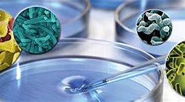 Timeline: Història de de microbiologia