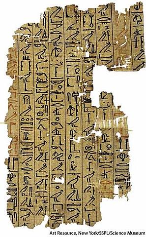 Papyrus in Egypt