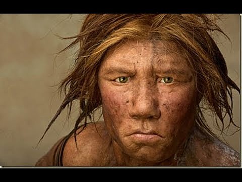 Hombre de Cromañón (Homo Sapiens Sapiens)