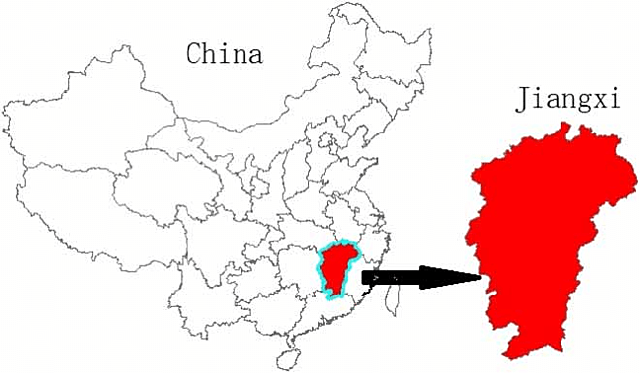 MI LLEGADA AL MUNDO (PERSONAL)