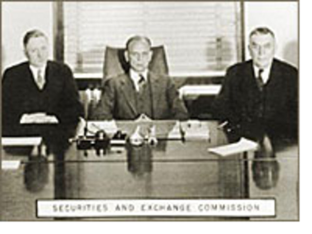 The Public Utility Holding Company