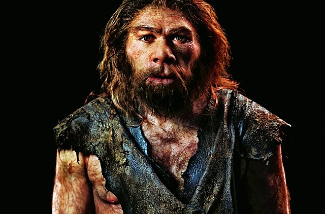 Homo Neanderthalis