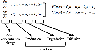 Biología matemàtica.