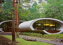 Concepte d'arquitectura orgànica