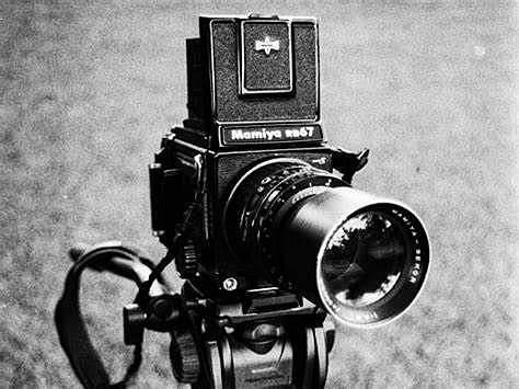 La fotografía digital