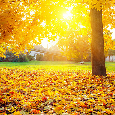 Timeline: Внутришкольные мероприятия  МБОУ ЛСТУ №2 (осень 2020)