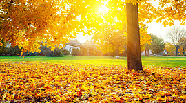 Timeline: Внутришкольные мероприятия  МБОУ ЛСТУ №2 (осень 2020)