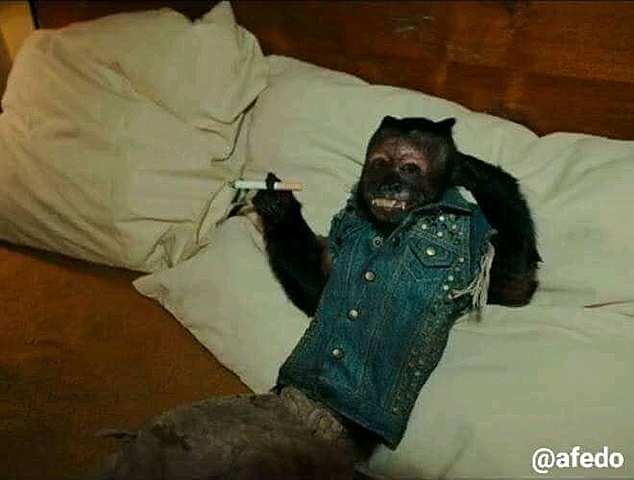 Evento significativo