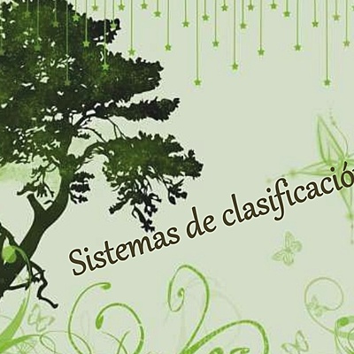 Timeline: historia de sistemas de clasificaciones