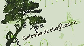 Timeline: historia de sistemas de clasificaciones