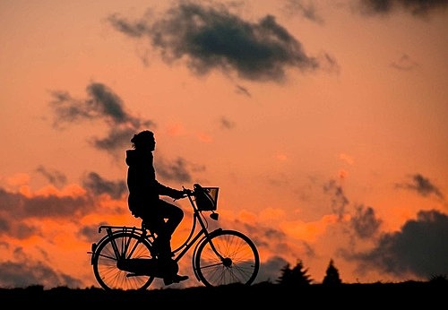 I will live happily in 2050.