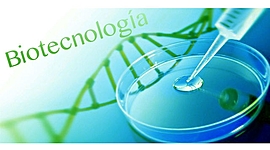 Timeline: Desarrollo histórico de biorreactores