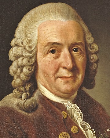 Carolus Linnaeus