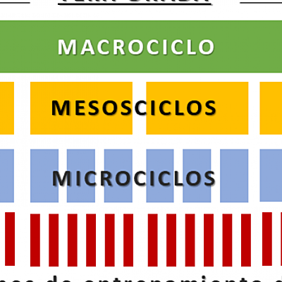 Timeline: Proceso Histórico del desarrollo de los modelos del entrenamiento deportivo