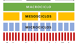Timeline: Proceso Histórico del desarrollo de los modelos del entrenamiento deportivo