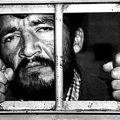 Timeline: EL MOUSTRO DE LOS ANDES