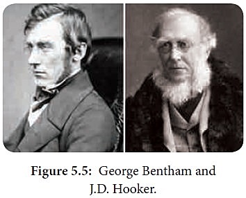 George Bentham y Joseph D. Hooker