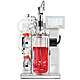 Bioreactor cell culture 555x347