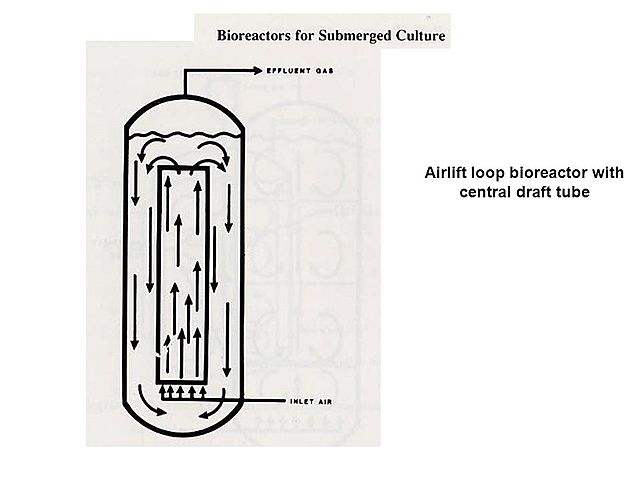 Biorreactor air lift