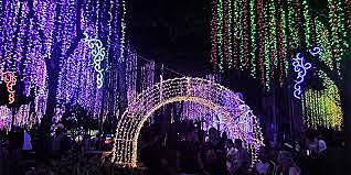 My first christmas lighting