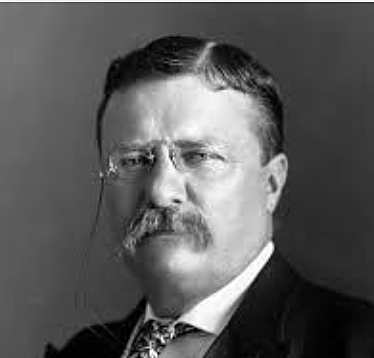 Pres. McKinley is assassinated and Progressive Theodore Roosevelt becomes President
