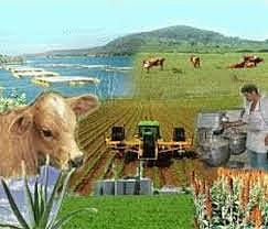 Sociedades latinoamericanas con economía tradicional, agrícola, ganadera y minera