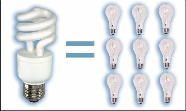 compact flourescent lightbulbs begin to replace the more expensive, less efficient incandescent bulbs