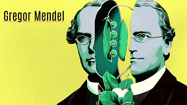 Gregor Mendel