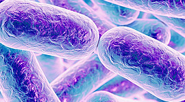 Timeline: Timeline historia microbiologia