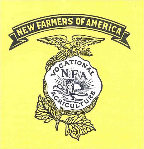 NFA Formed