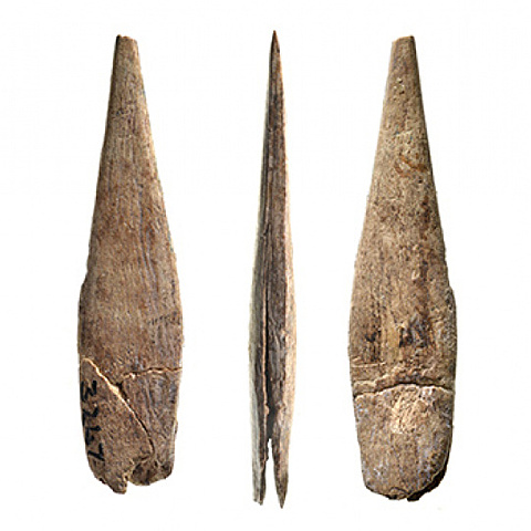 Cultura auriñaciense (31000 a.C-26000 a.C)