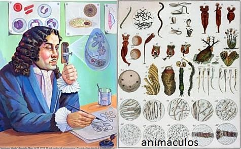 Anthony Van Leeuwenhoek