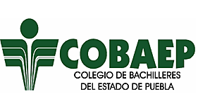 INGRESE AL COBAEP P-17