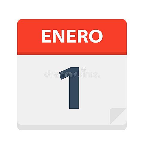 Ejercicio Social 2008