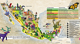 Timeline: Momentos Historicos en México                Alitzel Donaji Rojas