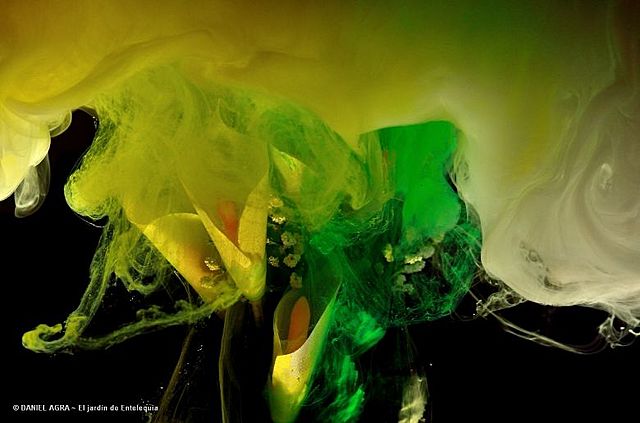 Aristoteles y la Entelequia