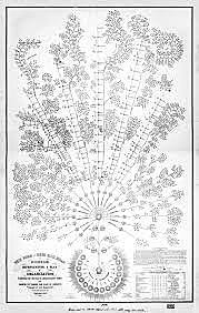 DANIEL McCALLUM: PRIMER ORGANIGRAMA