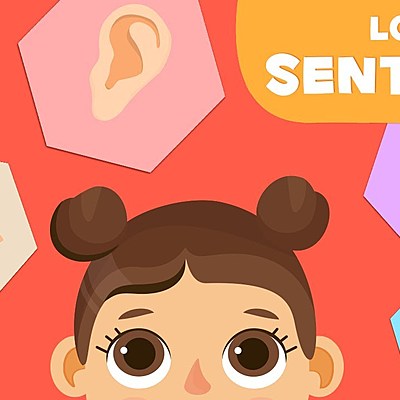 Timeline: Los Organos de los Sentidos