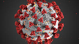 Timeline: USA Covid-19 Timeline