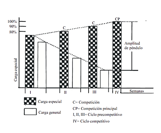 Arosiev y Kalinin proponen  el modelo de pendulo.
