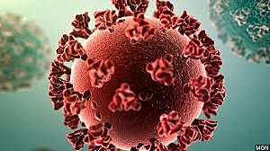 USA reaches 100 Covid-19 deaths