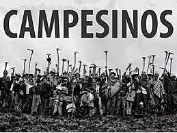 Movimiento campesino