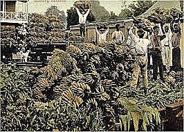 MASACRE DE LAS BANANERAS.