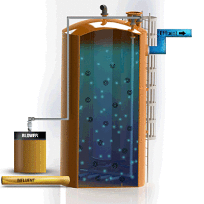 Timeline: Desarrollo de los biorractores